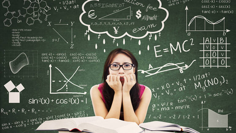 Programa de tutoría: PETssoma