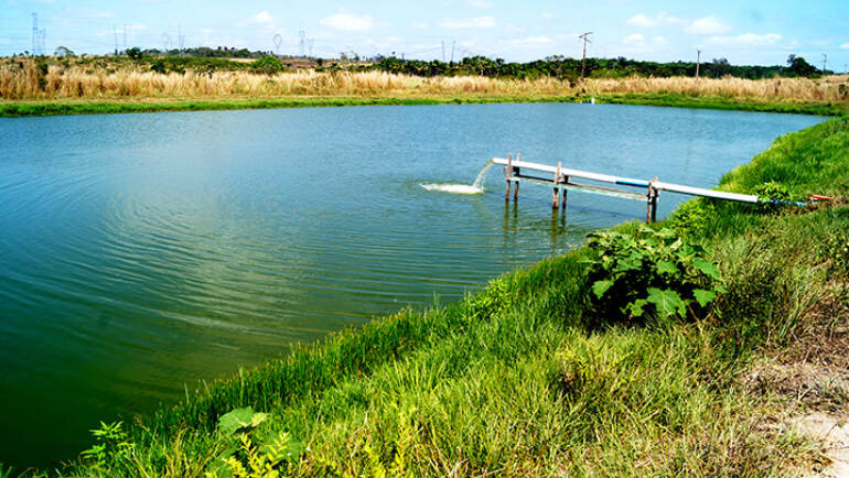 Characterization of fish farming