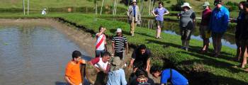 Intercâmbio de Estudantes: <br>Fazenda Escola de Castanhal