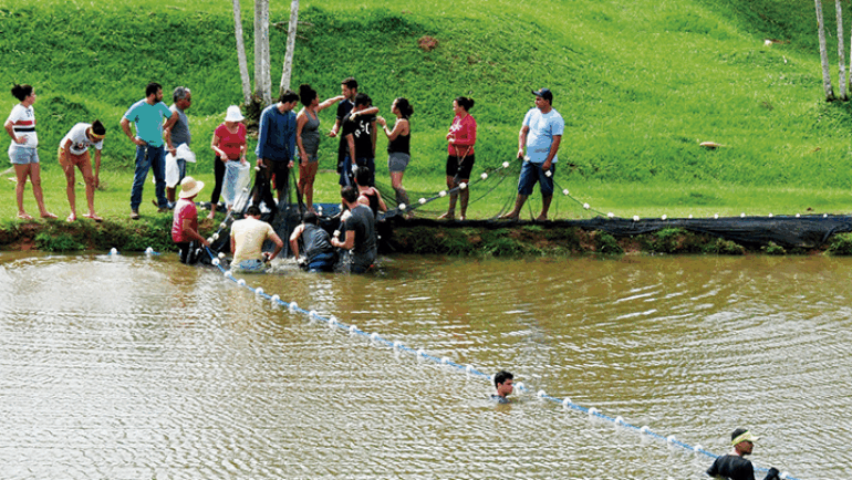 Treinamento de Férias 2018 – Inscrições abertas