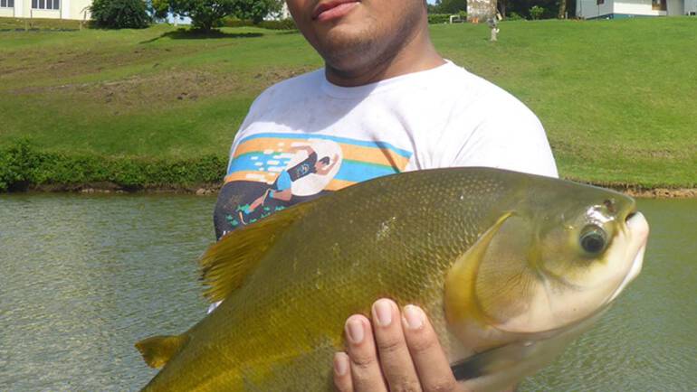 Luiz Fernando Gomes dos Passos
