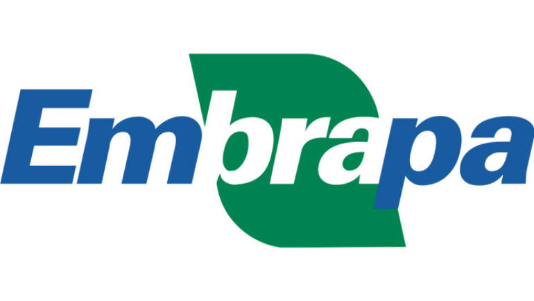 Creation of Embrapa