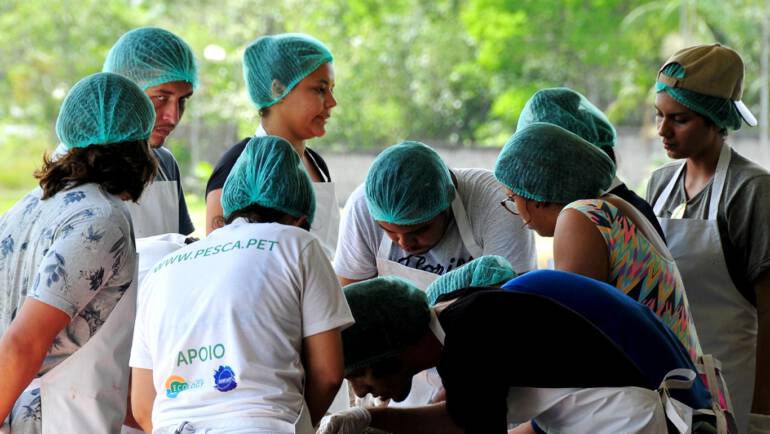 Treinamento de Férias 2019
