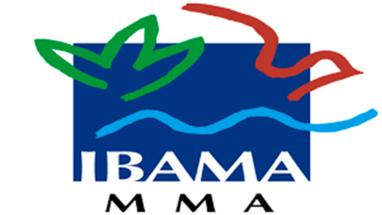 Creation of IBAMA