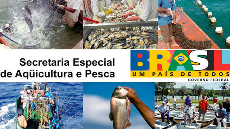 Creation of the Special Secretariat for Aquaculture and Fisheries