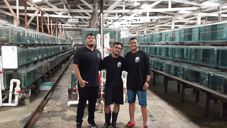 Estágio na empresa Arapaima Brasil