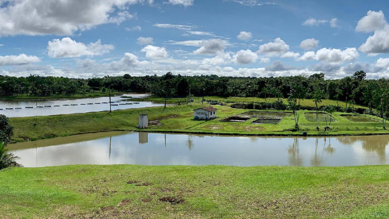 Creation of the fish farming station in Castanhal